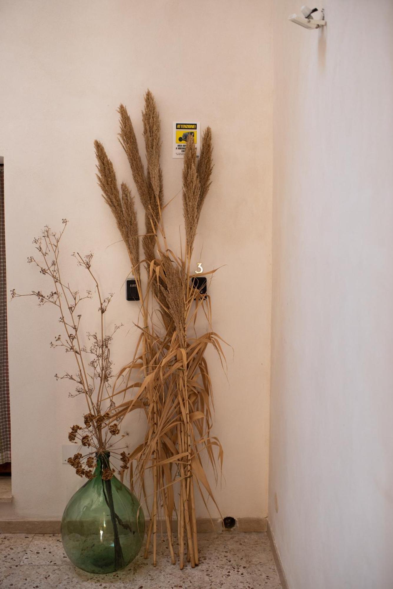San Vito Accommodations San Vito Lo Capo Bagian luar foto